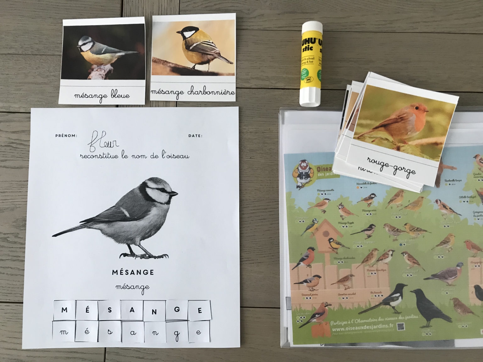  🔎LA MÉSANGE – Cabane de Fleur Motiv 