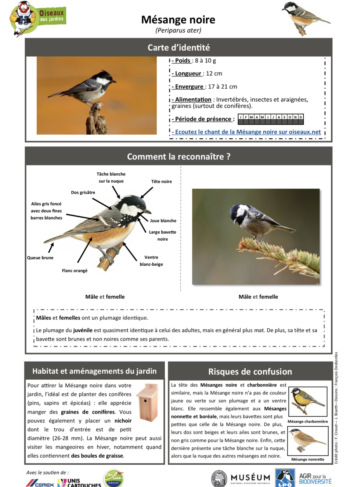  🔎LA MÉSANGE – Cabane de Fleur Bildidee 