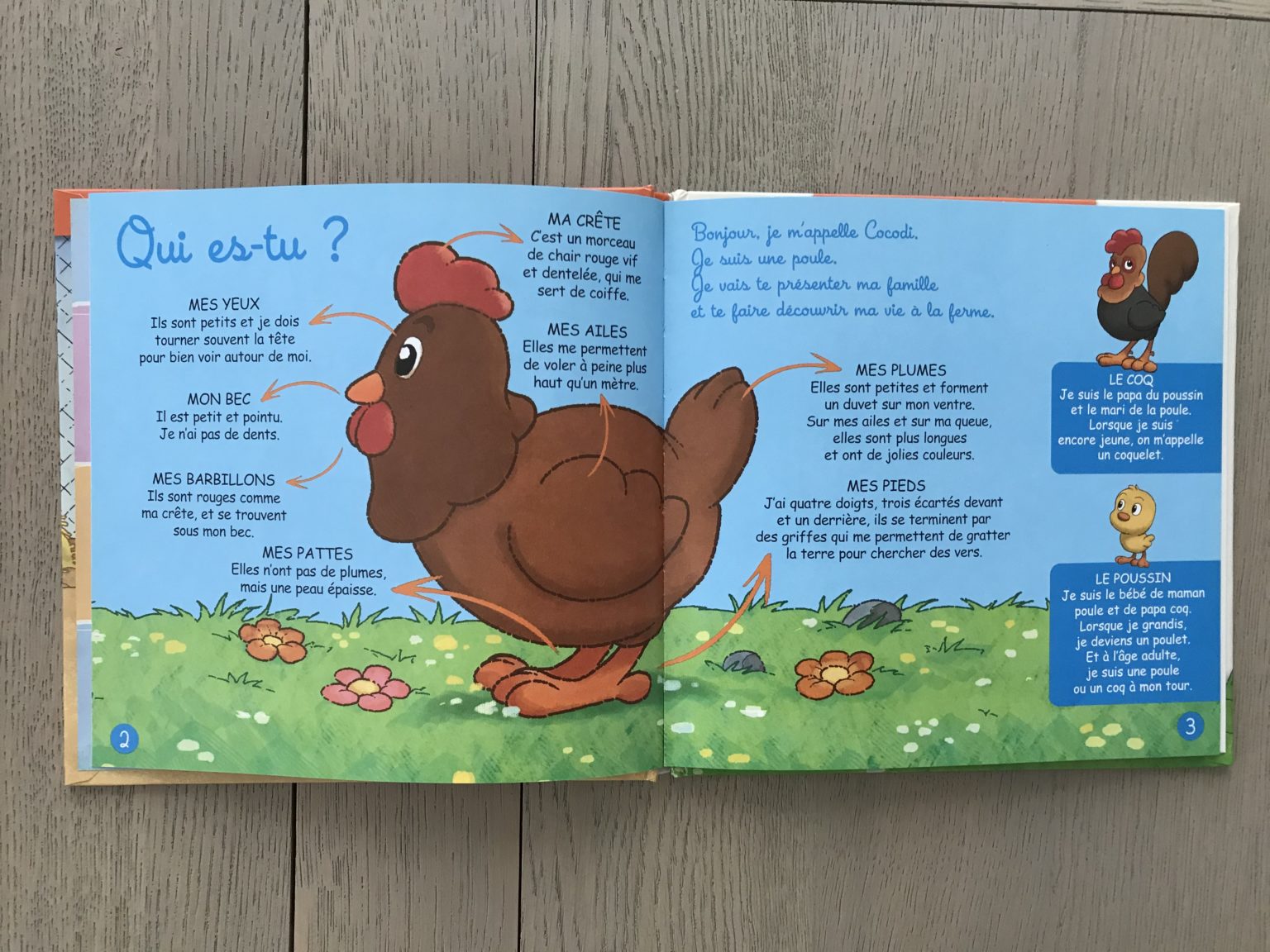 Editions Atlas Jeunesse Les Animaux De La Ferme