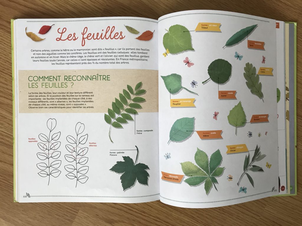 L'herbier des feuilles - Editions Milan