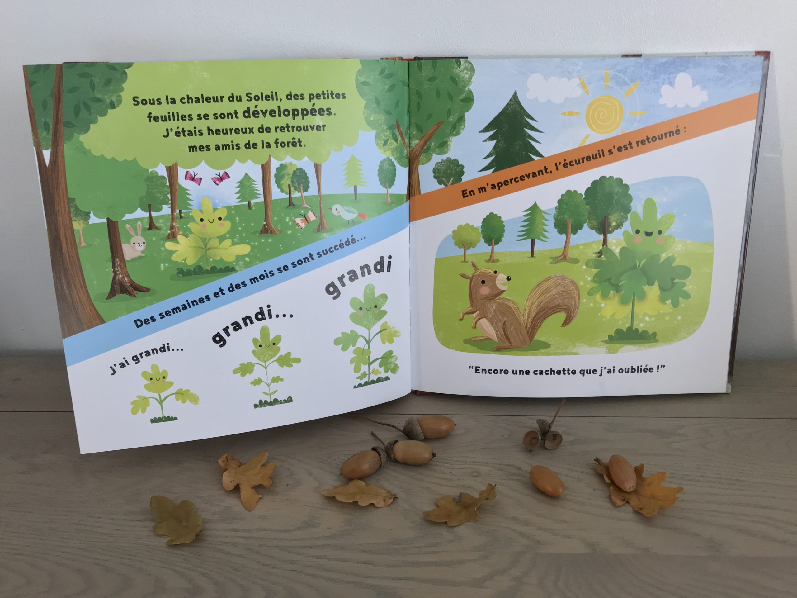 🔎LES ARBRES 🌳 – Cabane de Fleur