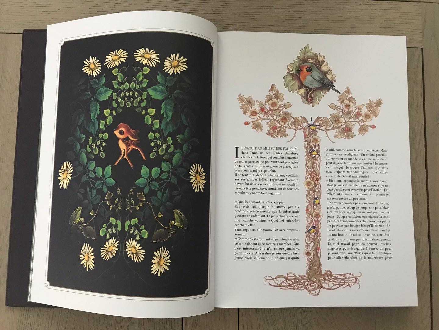 📚Bambi – Cabane de Fleur