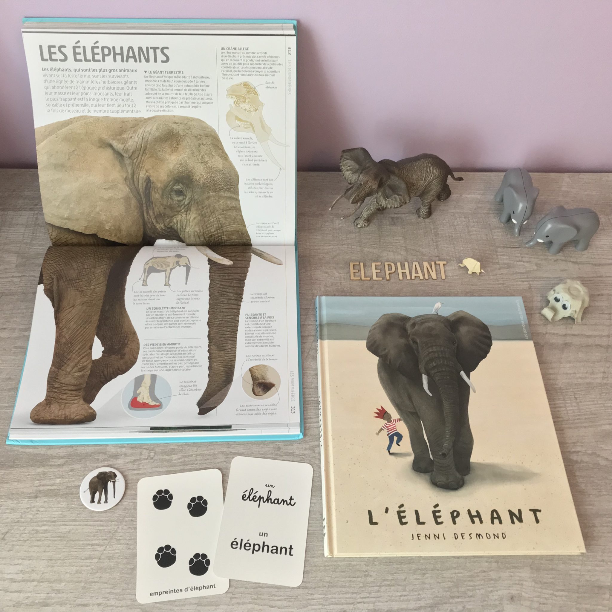  L L PHANT Cabane De Fleur